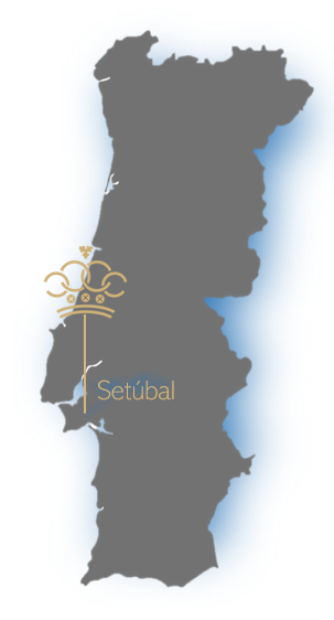 Region map