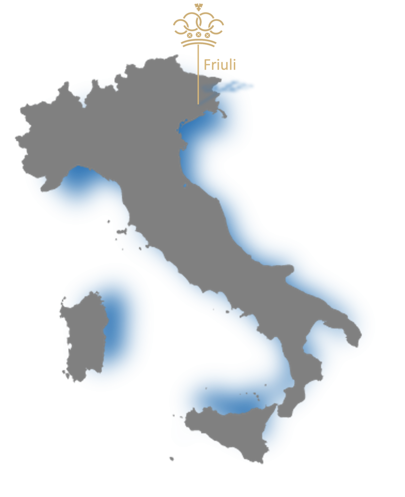 Friuli region map